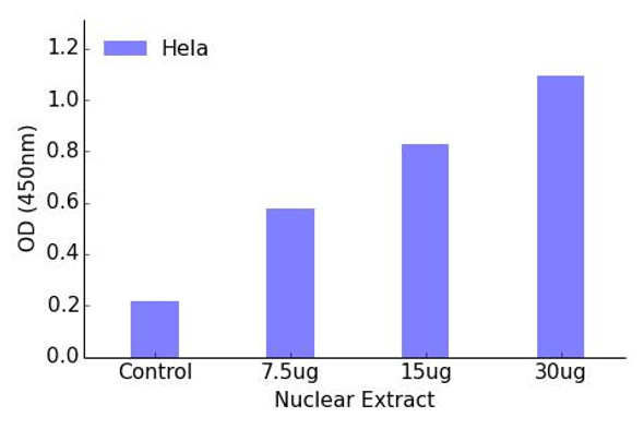 SP2 Transcription Factor Activity Assay (TFAB00161)
