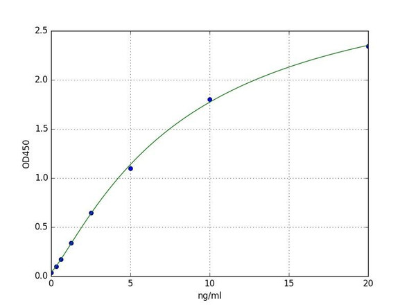 Human CLEC2D (C-type lectin domain family 2 member D) ELISA Kit (HUFI04555)