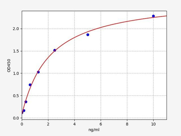 Human Protein NDRG3 (N-myc downstream-regulated gene 3 protein) ELISA Kit (HUFI04693)