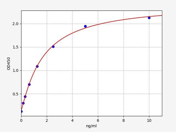 Human Wnt6 (Protein Wnt-6) ELISA Kit (HUFI04726)