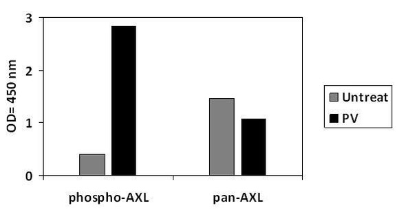 Human Phospho-AXL (Y779) and Total AXL PharmaGenie ELISA Kit (SBRS1758)