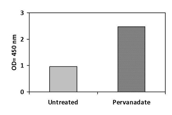 Human and Mouse Phosphotyrosine CSK PharmaGenie ELISA Kit (SBRS1780)