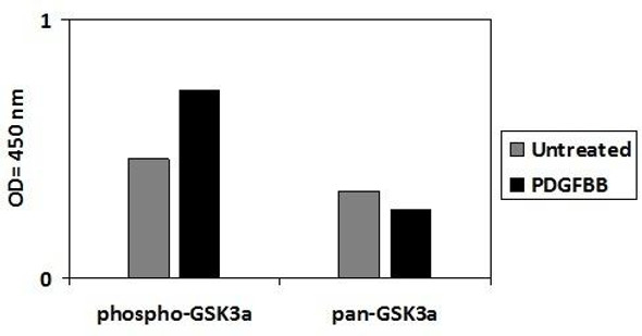 Human Phospho-Glucocorticoid Receptor (S226) and Total Glucocorticoid Receptor PharmaGenie ELISA Kit (SBRS1841)