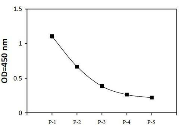 Human Phospho-PKMYT1 (T495) and Total PKMYT1 PharmaGenie ELISA Kit (SBRS1931)