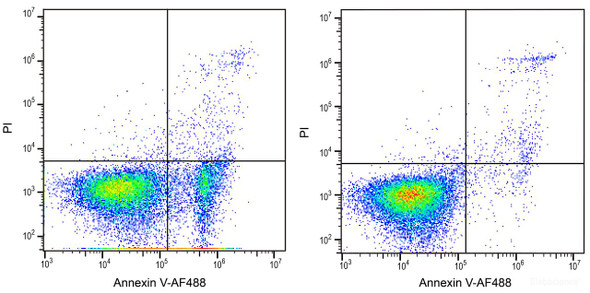 Molecular Biology Tools - Category - Apoptosis Detection - Assay