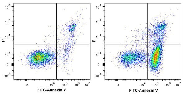 Molecular Biology Tools - Category - Apoptosis Detection - Assay