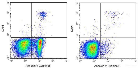 Annexin V-Cyanine5/DAPI Apoptosis Kit (AKES059)