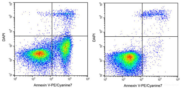Annexin V-PE/Cyanine7/DAPI Apoptosis Kit (AKES062)