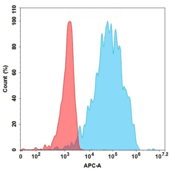 Ragifilimab Biosimilar (Anti-GITR/TNFRSF18) Antibody (HDBS0063)