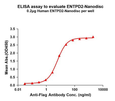 Human ENTPD2 Full-Length Bioactive Membrane Protein (HDFP032)