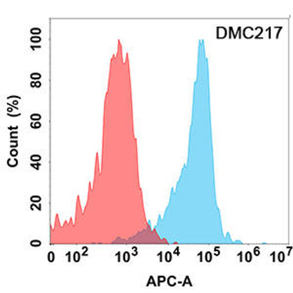 Anti-CD24 Chimeric Recombinant Rabbit Monoclonal Antibody (HDAB0207)