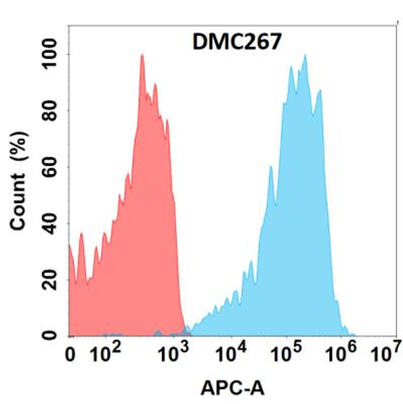 Anti-TNFSF11 Chimeric Recombinant Rabbit Monoclonal Antibody (HDAB0225)