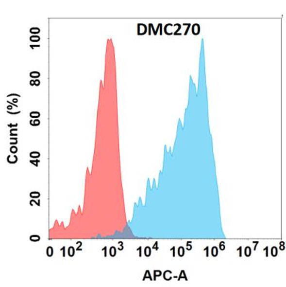 Anti-CD160 Chimeric Recombinant Rabbit Monoclonal Antibody (HDAB0228)