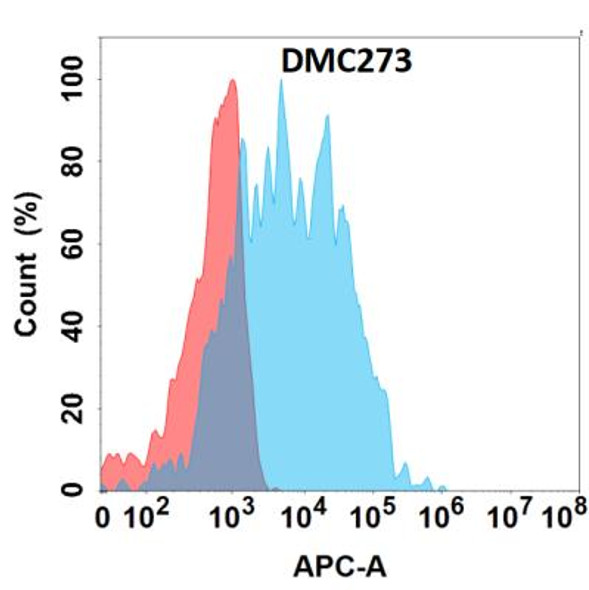 Anti-CD36 Chimeric Recombinant Rabbit Monoclonal Antibody (HDAB0231)