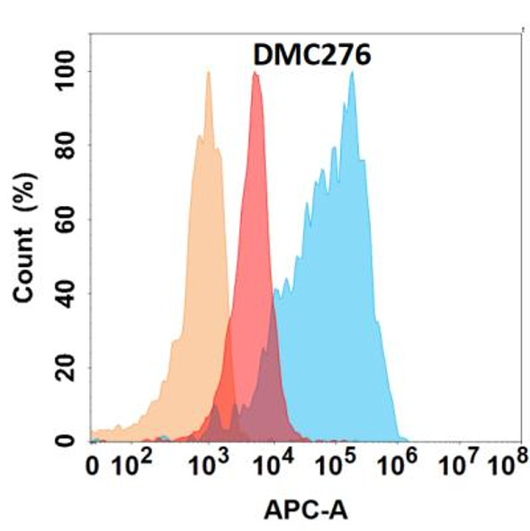 Anti-VEGFA Chimeric Recombinant Rabbit Monoclonal Antibody (HDAB0234)
