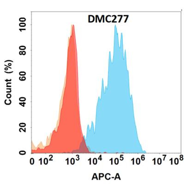 Anti-LGALS1 Chimeric Recombinant Rabbit Monoclonal Antibody (HDAB0235)