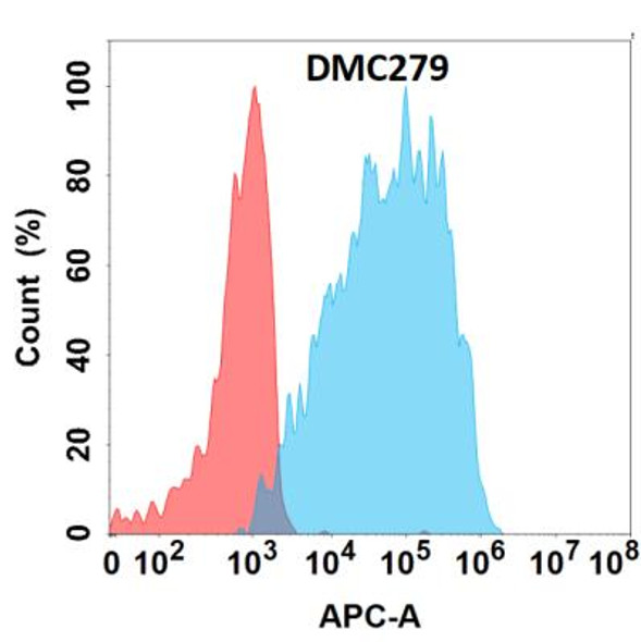 Anti-Galectin 9 Chimeric Recombinant Rabbit Monoclonal Antibody (HDAB0237)