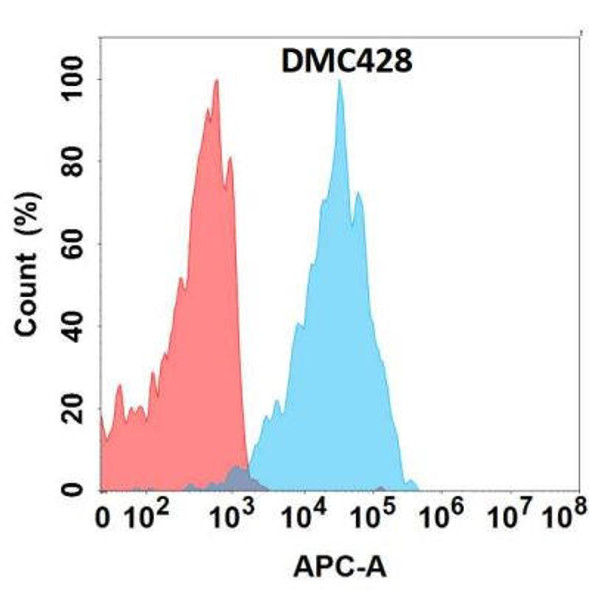 Anti-SSTR2 Chimeric Recombinant Rabbit Monoclonal Antibody (HDAB0272)