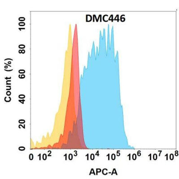 Anti-CD117 Chimeric Recombinant Rabbit Monoclonal Antibody (HDAB0284)
