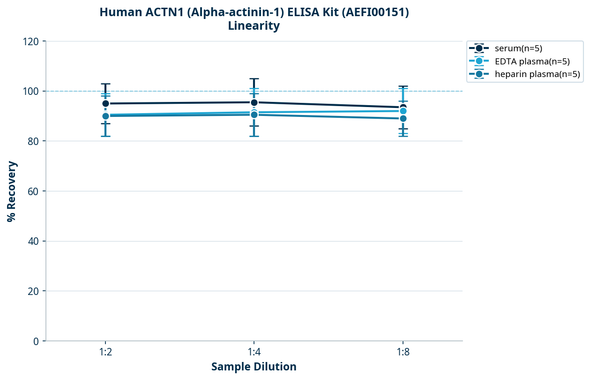 Human ACTN1 (Alpha-actinin-1) ELISA Kit (AEFI00151)