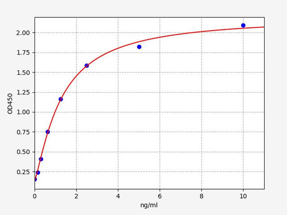Rat Foxo1 (Forkhead box protein O1) ELISA Kit (AEFI00920)