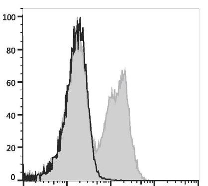 GenieFluor Violet 450 Anti-Mouse CD3Îµ Antibody [145-2C11] (AGEL3250)