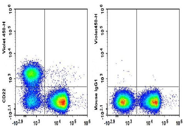 GenieFluor Violet 450 Anti-Mouse CD22 Antibody [Cy34.1] (AGEL3354)