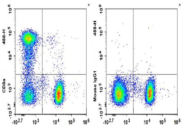 GenieFluor 488 Anti-Human CD8a Antibody [HIT8a] (AGEL3393)