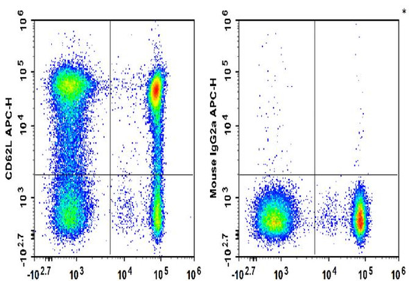 APC Anti-Human CD62L Antibody [HI62L] (AGEL3486)