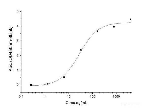 Recombinant SARS-CoV-2 Spike RBD (K417N, E484K, N501Y) (His Tag) (RPES7094)