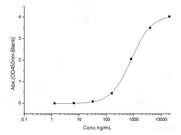 Recombinant SARS-CoV-2 Spike S1+S2 ECD (D614G) (His Tag) (RPES7118)