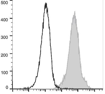 PE/Cyanine5 Anti-Mouse Ly6A/E (Sca-1) Antibody [D7] (AGEL2348)
