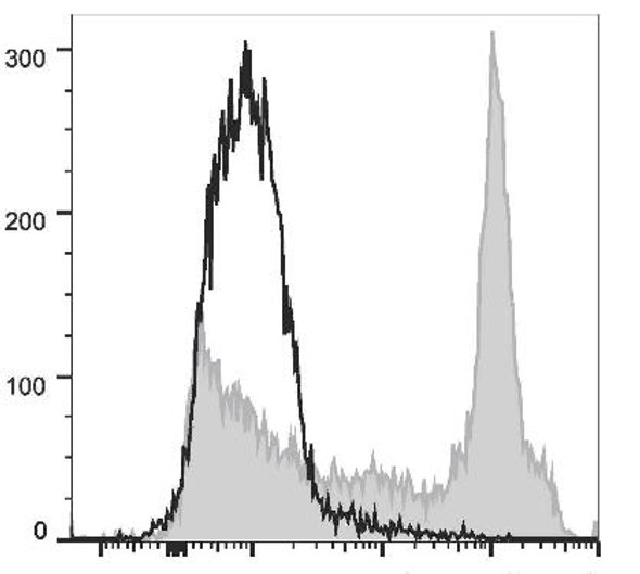 PE/Cyanine7 Anti-Mouse CD38 Antibody [NIMR5] (AGEL2755)