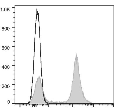 GenieFluor Red 780 Anti-Mouse CD45R/B220 Antibody [RA3.3A 1/6.1] (AGEL2984)