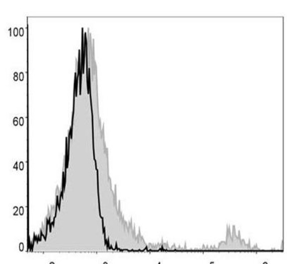 PE Anti-Mouse CD8a Antibody [53-6.7] (AGEL2207)