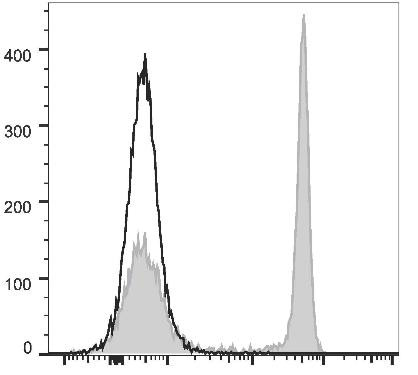 GenieFluor 488 Anti-Rat CD4 (domain 1) Antibody [OX-38] (AGEL2212)