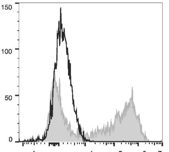 PE Anti-Mouse IL-2 Antibody [JES6-5H4] (AGEL2378)
