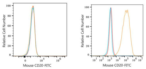 FITC-conjugated Goat anti-Rat IgG (H+L) (CABS019)