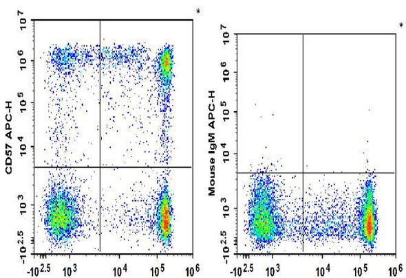 APC Anti-Human CD57 Antibody [HNK-1] (AGEL0269)
