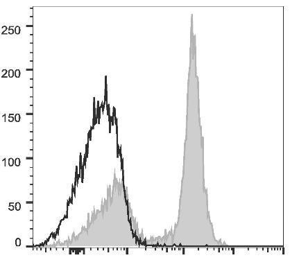 PE Anti-Mouse CD16/32 Antibody [2.4G2] (AGEL0588)