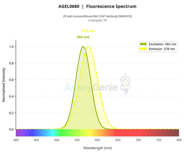 PE Anti-Human/Mouse/Rat CD47 Antibody [MIAP410] (AGEL0680)