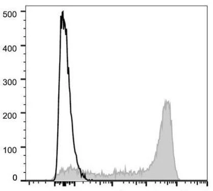GenieFluor 647 Anti-Human CD45RA Antibody [HI100] (AGEL0961)
