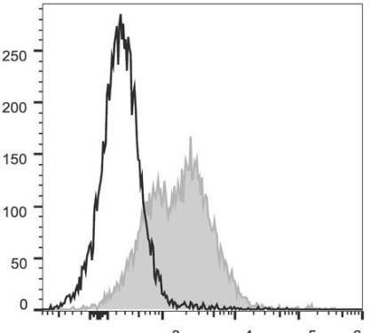 PerCP/Cyanine5.5 Anti-Mouse CD71 Antibody [R17 217.1.3/TIB-219] (AGEL1194)