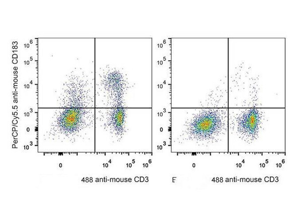 PerCP/Cyanine5.5 Anti-Mouse CD183/CXCR3 Antibody [CXCR3-173] (AGEL1434)