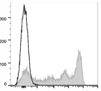 GenieFluor 647 Anti-Mouse Ly-6G/Ly-6C (Gr-1) Antibody [RB6-8C5] (AGEL1488)