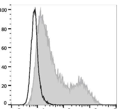 FITC Anti-Human CD134 Antibody [Ber-ACT35] (AGEL1785)
