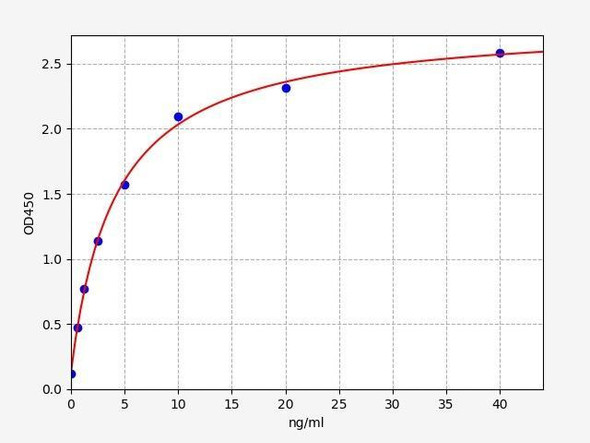Human HLA G ELISA Kit (HUFI02628)