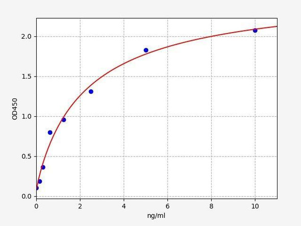 Rat ABCA1/ATP-binding cassette sub-family A member 1 ELISA Kit (RTFI01234)