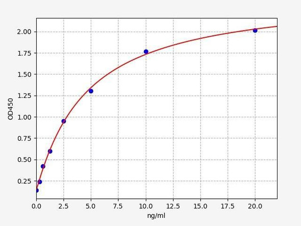 Rabbit ACE/Angiotensin Converting Enzyme 1 ELISA Kit (RBFI00001)