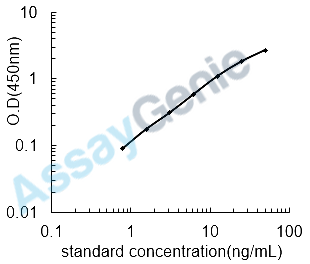 Rat Nesfatin-1 (NEFA) ELISA Kit (RTEB1587)